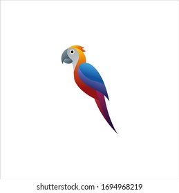 Colorful parrot logo design vector concept