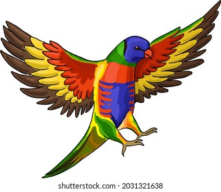 colorful parrot lorikeet in flight vector