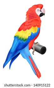 Colorful parrot macaw isolated on white background. Vector illustration for your bird wildlife design. Vivid bird sitting on perch.