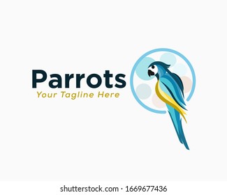 Colorful parrot on circle logo design inspiration