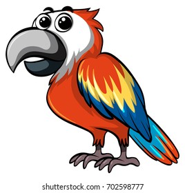 Colorful parrot on white background illustration