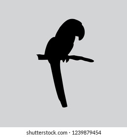 Colorful parrot silhouette.