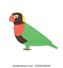 A colorful parrot. simple hand drawn style bird illustration