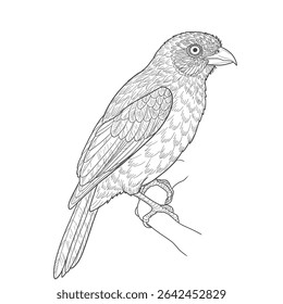 A colorful parrot with textured feathers, illustrated in a detailed sketch perched on a sturdy branch. The drawing highlights the bird's intricate plumage and natural pose, ideal for wildlife 