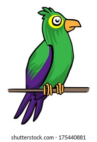 Colorful parrot, vector illustration
