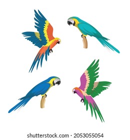 Animales coloridos de loro vectorial