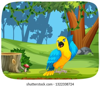 Colorful parrot in wood scene illustration