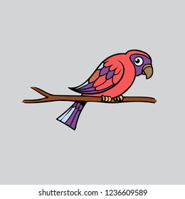 Colorful parrot,cute cartoon parrot 