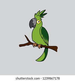 Colorful parrot,cute cartoon parrot