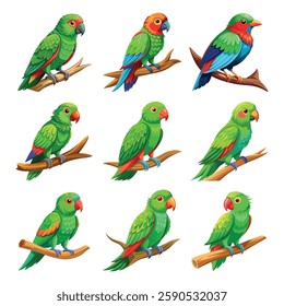 Colorful Parrots Collection illustration Design