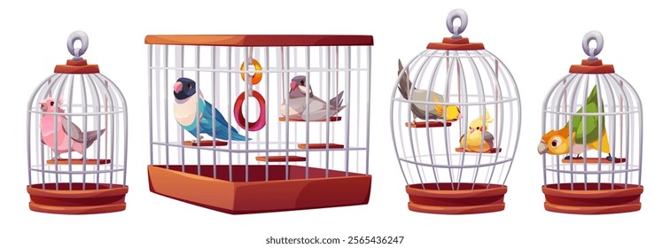 Colorful parrots in metal cage - silver enclosures with wooden bases and silver handles. Exotic birds with pink, blue, yellow, green plumage sitting inside white bars. pet shop or aviary elements.