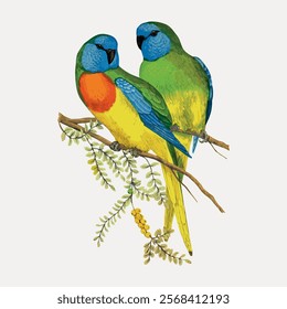 Colorful parrots perched on a branch. Vibrant parrots with blue, green, and yellow feathers. Parrots sitting together, showcasing bright plumage. Vintage art drawing illustration, painting art vector.