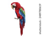 Colorful parrots, red macaw, set tropical birds, isolated white background, watercolor illustration. jungle design