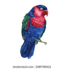 Colorful parrots, red macaw, set tropical birds, isolated white background, watercolor illustration. jungle design