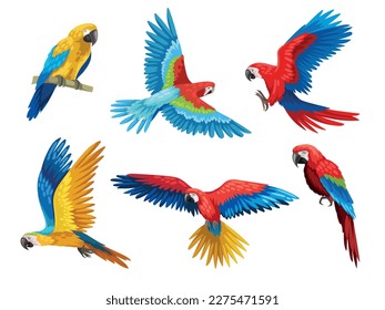Colorful parrots set. Collection of exotic and tropical birds with bright feathers and beak. Wildlife of jungle and tropical forest. Cartoon flat vector illustrations isolated on white background