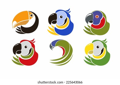 Colorful parrots. Vector illustration.