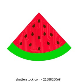 Colorful Part of the watermelon. Vector watermelon on a white background. summer watermelon.