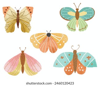 Colorful and Pastel Watercolor Butterfly