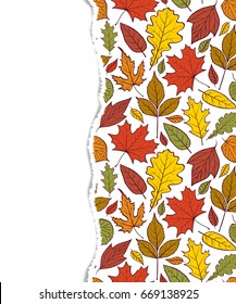 Colorful pattern with autumn leaves.Autumn background.Vector illustration.