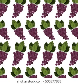 colorful pattern of bunch grapes with stem and leafs