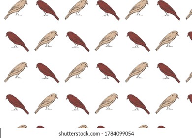 Diseño de patrones coloridos con aves dibujadas a mano. Ilustración de fondo del vector con colores rojo ladrillo, beige y blanco