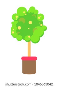 Colorful pattern of green tree in brown pot with red top, vector illustration isolated on white background, bright yellow and green circles on plant