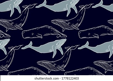 Patrón colorido con ballenas dibujadas a mano. Ilustración de fondo del vector con colores azules