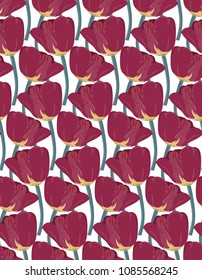 colorful pattern with macro tulips