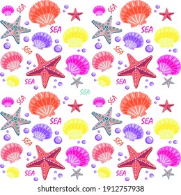 Colorful Pattern Sea Shells And Starfish