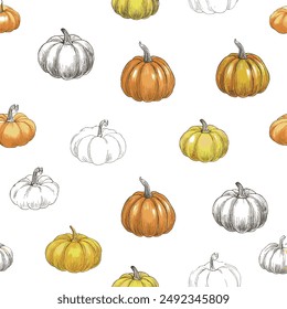 Colorful Pattern with Various Pumpkins, Hand-Drawn Vector Illustration