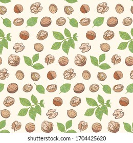 Colorful pattern vector Walnut. Nuts hand drawn style