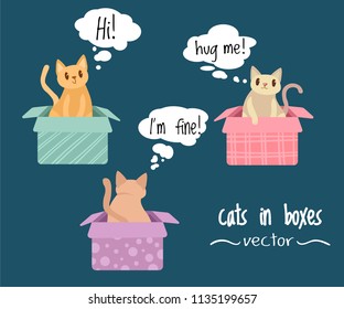 Colorful patterned cute cats in boxes, talking cats, illustration on blue background