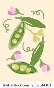 Colorful pea pods and blossoms on pastel background.