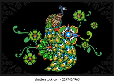 Colorful peacock bird isolated on black background