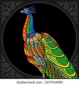 Colorful peacock bird isolated on black background