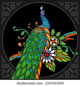 Colorful peacock bird isolated on black background