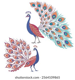 colorful Peacock Cartoon Animal Nature Icon Concept Isolated design