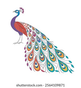 colorful Peacock Cartoon Animal Nature Icon Concept Isolated design