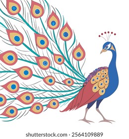 colorful Peacock Cartoon Animal Nature Icon Concept Isolated design