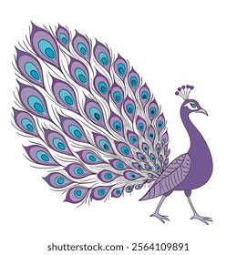 colorful Peacock Cartoon Animal Nature Icon Concept Isolated design