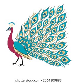 colorful Peacock Cartoon Animal Nature Icon Concept Isolated design