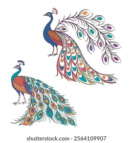 colorful Peacock Cartoon Animal Nature Icon Concept Isolated design