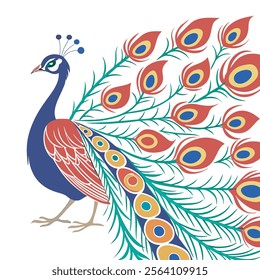 colorful Peacock Cartoon Animal Nature Icon Concept Isolated design