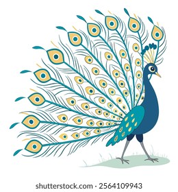 colorful Peacock Cartoon Animal Nature Icon Concept Isolated design