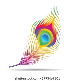 Colorful peacock feather vector illustration