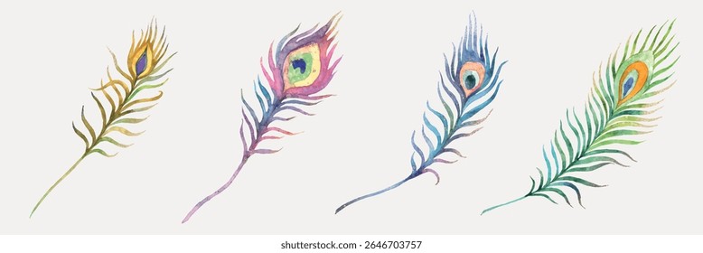 Colorful peacock feathers in watercolor. Four distinct peacock feathers, each with vibrant colors. Watercolor art showcasing peacock feather designs. Easter illustrations, isolated element vector set.