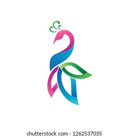 Colorful Peacock Logo Design Vector