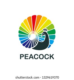 Colorful peacock logo template