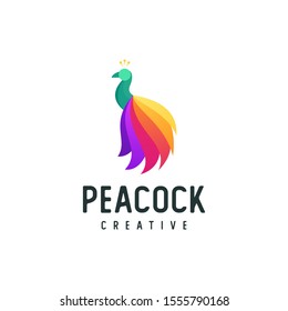 colorful peacock logo, vector illustration of modern animal