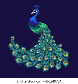 Colorful peacock for your design. Vector illustration